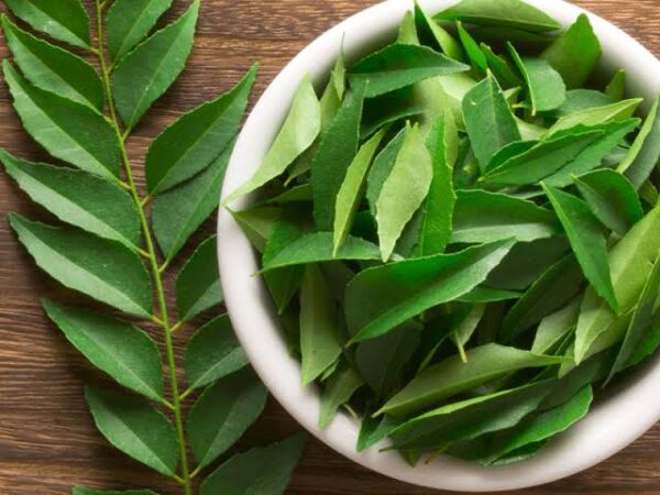 Curry Leaves Chutney Powder (100grams)